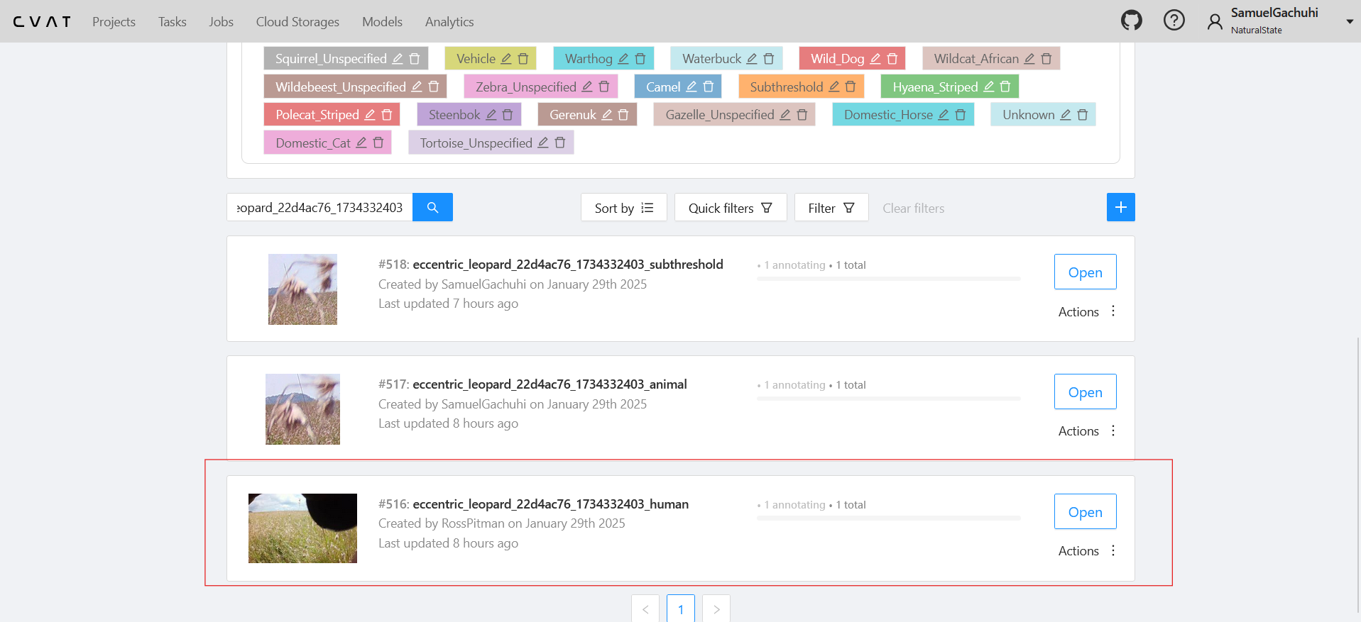 CVAT successful task creation