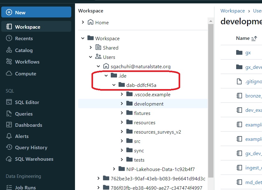 Workspace folder in Databricks