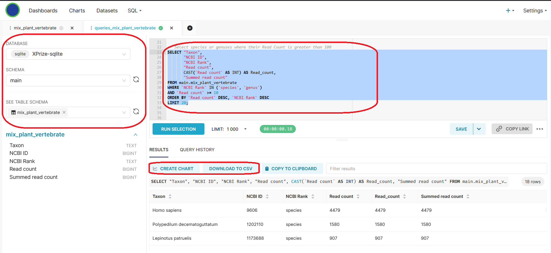 SQL Queries