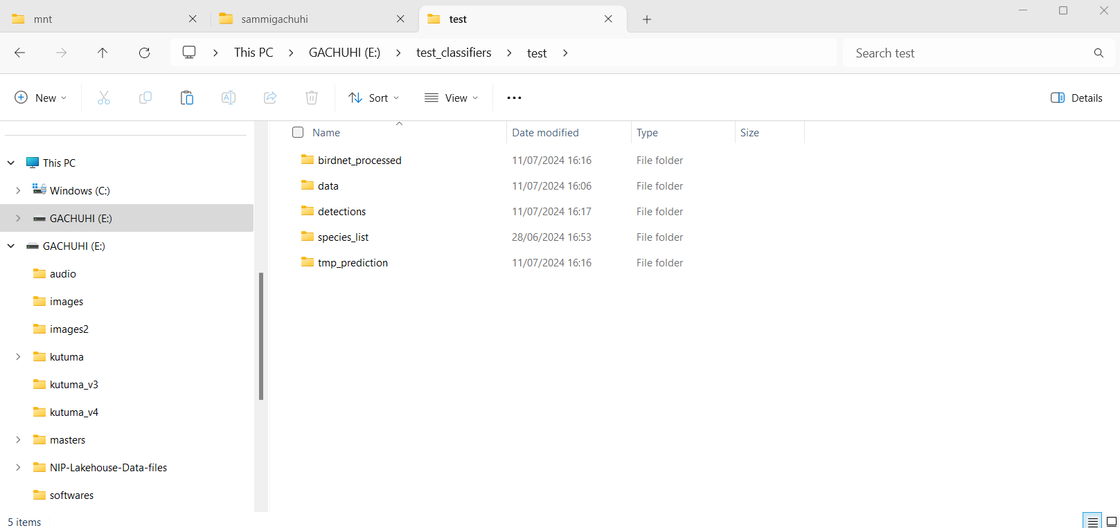 The output folders in the external disk